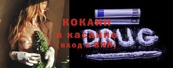 сатива Волосово