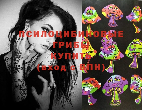 apvp Вязьма