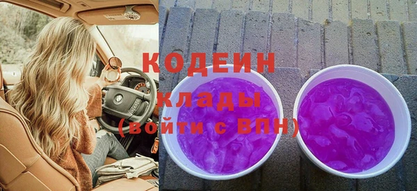 индика Вяземский