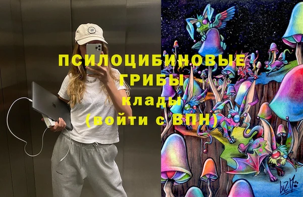 индика Вяземский