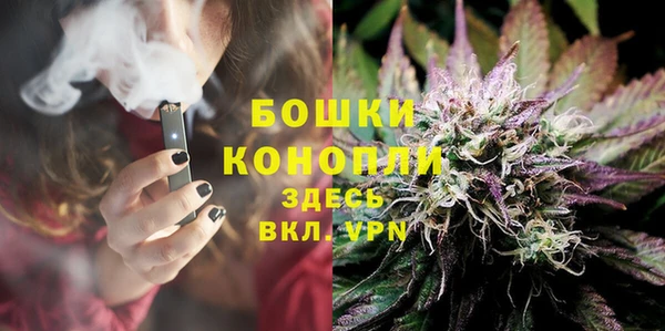 сатива Володарск
