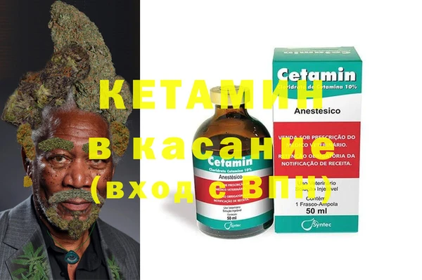 сатива Волосово