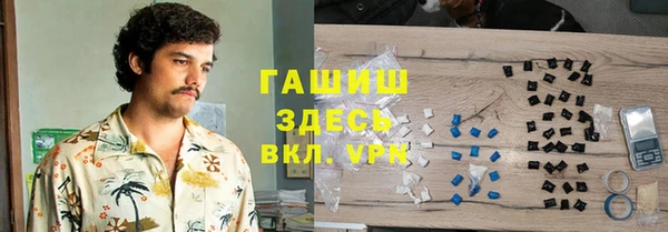 индика Вяземский