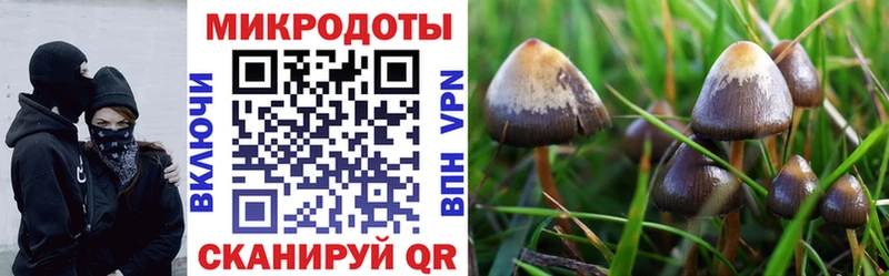 Псилоцибиновые грибы мухоморы  Балаково 